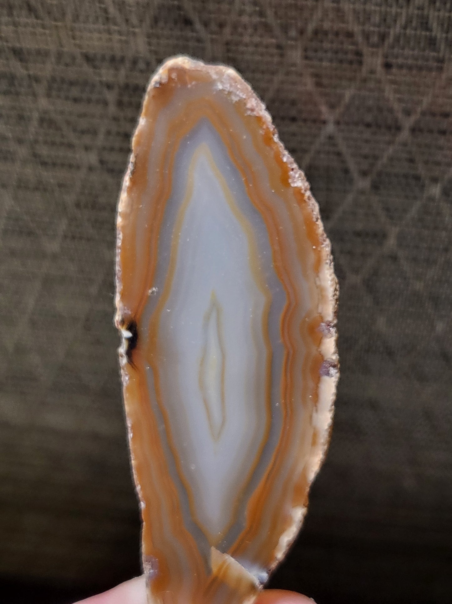 Agate Slab Necklace