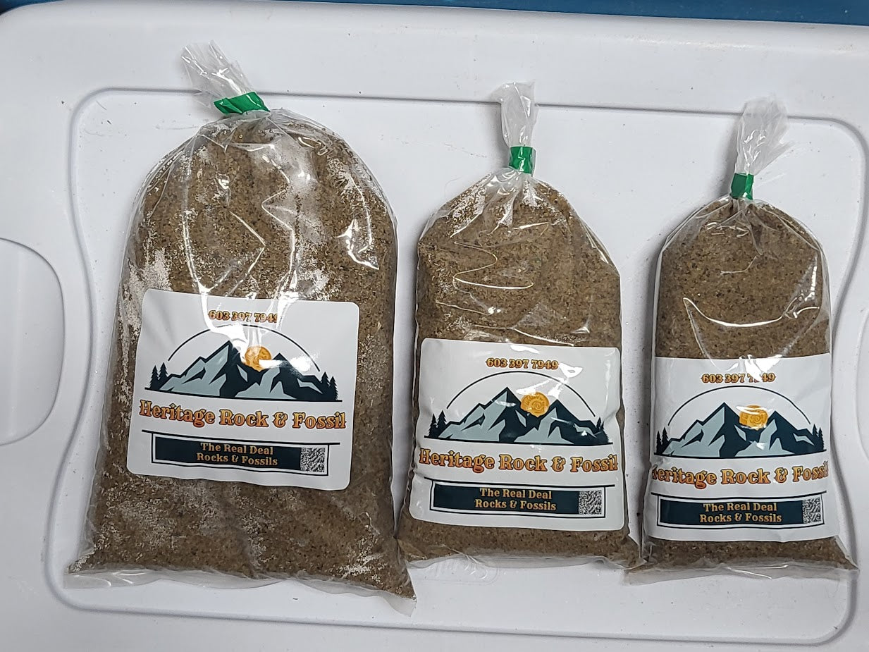 Medium Bag of Fossils