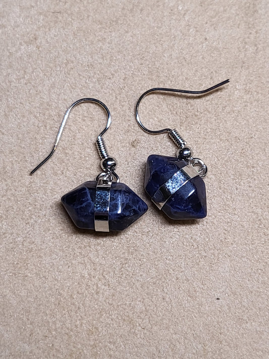 Earrings Sodalite