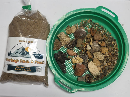 Medium Bag of Fossils