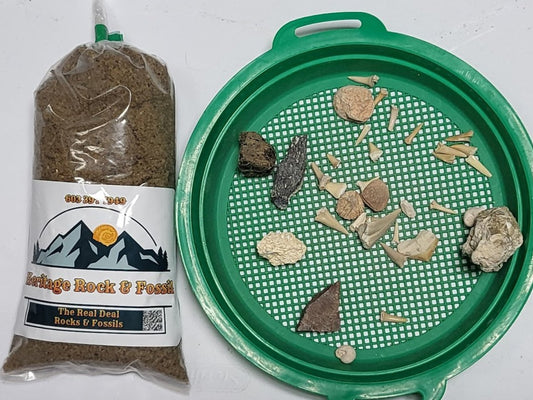 Small bag of Fossils